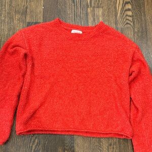 Red cat & JackSweater